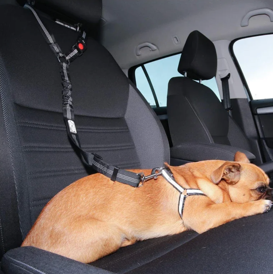 Anti-shock Two-in-one Dog Safety Belt